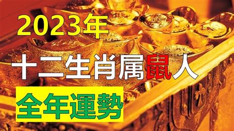 2023年屬性|2023年運勢及運程詳解 12生肖全年每月運勢完整版